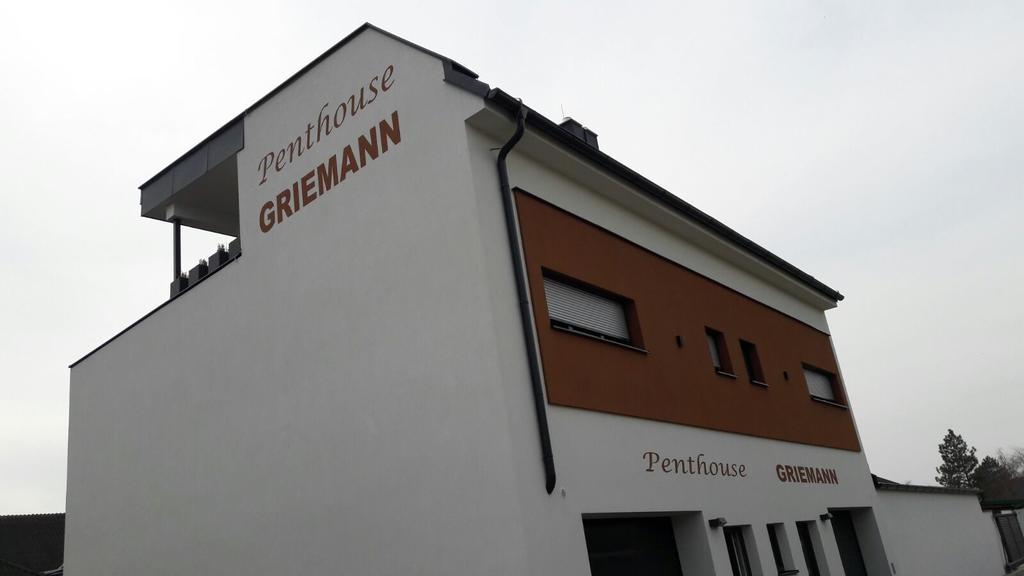 Penthouse Griemann 2 Fuer Max 4 Personen Mit Eigener Grosser Dachterrasse Zum Relaxen! Illmitz Dış mekan fotoğraf
